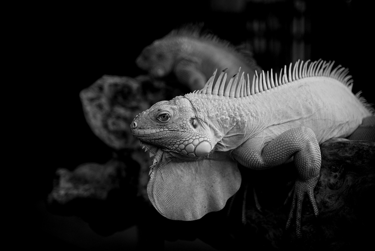 キッズレッスンで楽しめる全天候型アクティビティは？