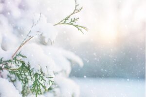 キッズレッスンで雪が降っても楽しめるアクティビティは？