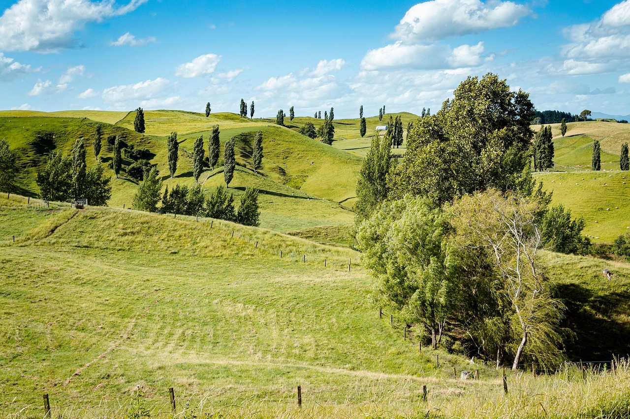 キッズレッスンに最適ななだらかなコースはどこにある？
