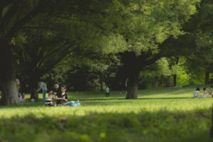 キッズレッスンで楽しむ食事付き家族旅行のおすすめプランは？