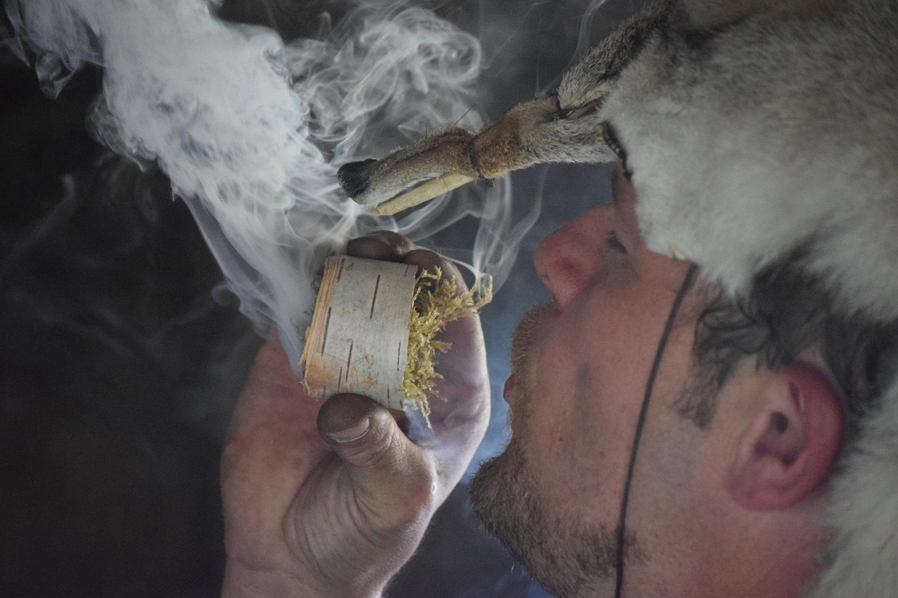 キッズレッスンで楽しめる子供向けバイキングの魅力は？