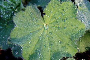 子供の水分補給をスキー場で行うためのコツは？