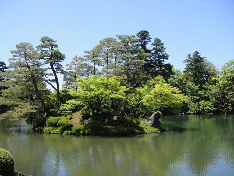 北陸で子連れスキーを楽しむ際の海鮮と温泉のおすすめは？